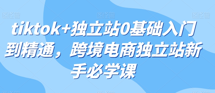 8787-20231130-tiktok+独立站0基础入门到精通，跨境电商独立站新手必学课