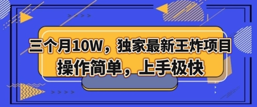 8821-20231202-三个月10W，独家最新王炸项目！操作简单，上手极快【揭秘】