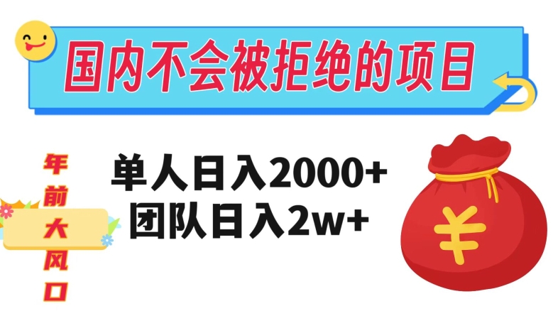 8854-20231204-在国内不怕被拒绝的项目，单人日入2000，团队日入20000+【揭秘】