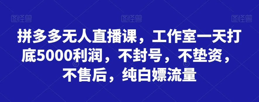 8846-20231204-拼多多无人直播课，工作室一天打底5000利润，不封号，不垫资，不售后，纯白嫖流量