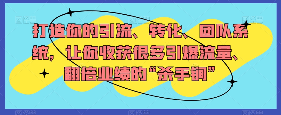 8867-20231205-打造你的引流、转化、团队系统，让你收获很多引爆流量、翻倍业绩的“杀手锏”