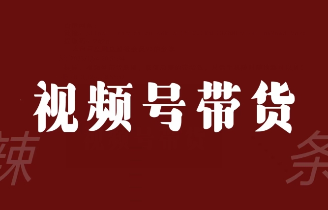 8869-20231205-视频号带货联盟，赚信息差的带货钱，只需手机随时随地都可以做！