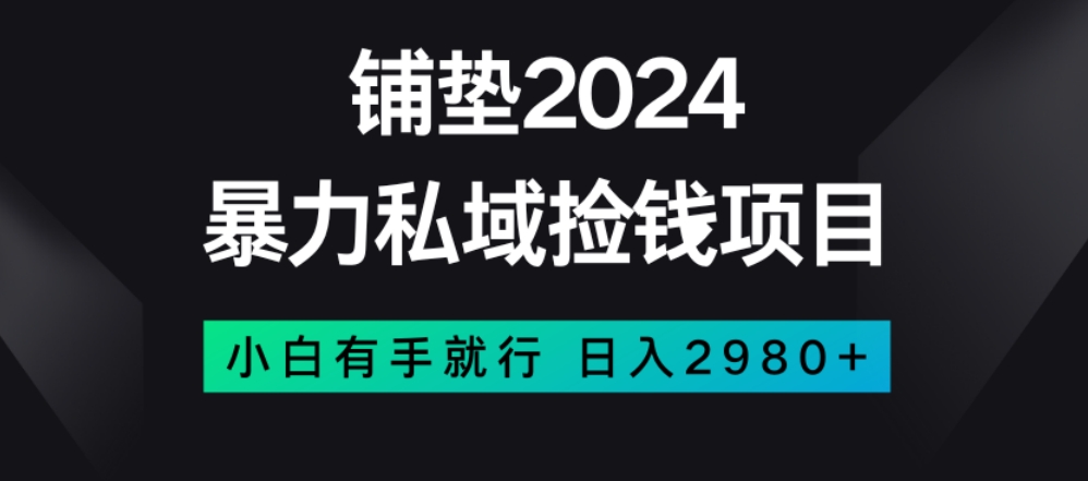 8948-20231209-暴力私域捡钱项目，小白无脑操作，日入2980【揭秘】