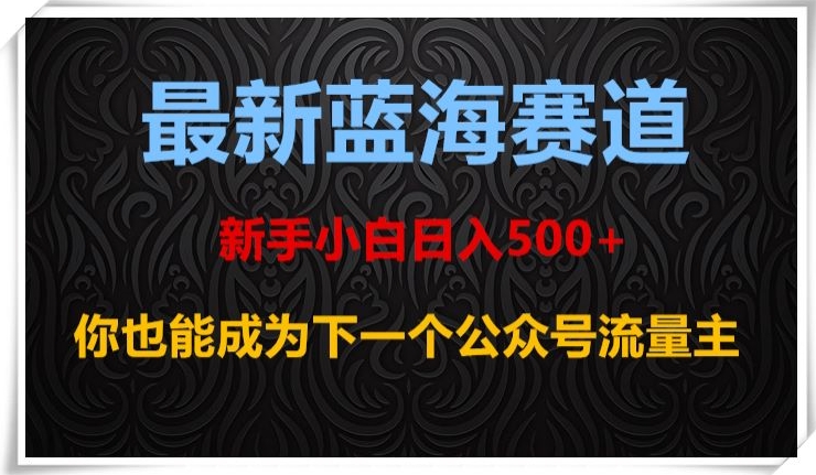 8994-20231211-最新蓝海赛道，新手小白日入500+，你也能成为下一个公众号流量主【揭秘】