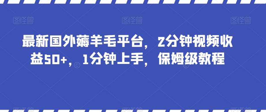 9129-20231213-最新国外薅羊毛平台，2分钟视频收益50+，1分钟上手，保姆级教程【揭秘】