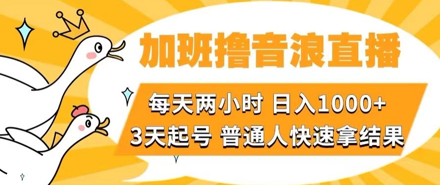 9142-20231214-加班撸音浪直播，每天两小时，日入1000+，直播话术才3句，3天起号，普通人快速拿结果⭐加班撸音浪直播，每天两小时，日入1000+，直播话术才3句，3天起号，普通人快速拿结果【揭秘】