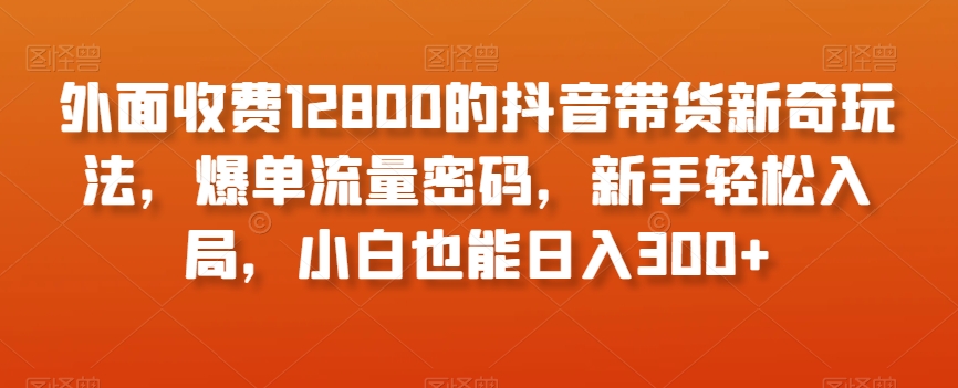 9542-20231219-外面收费12800的抖音带货新奇玩法，爆单流量密码，新手轻松入局，小白也能日入300+【揭秘】