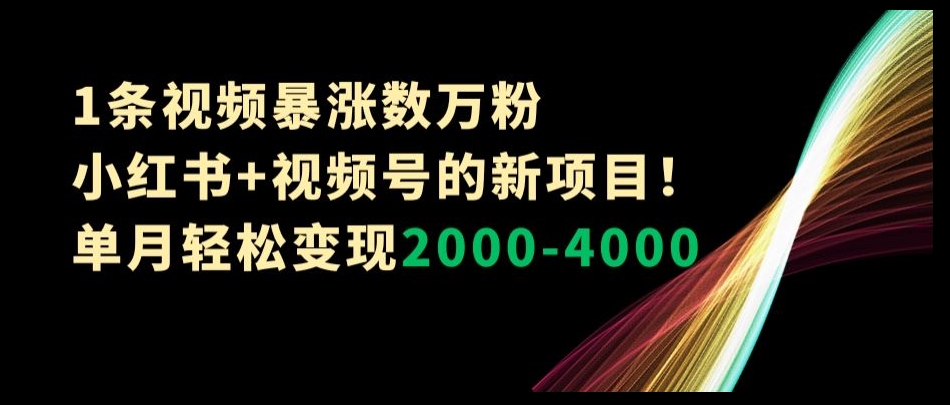 9550-20231220-1条视频暴涨数万粉--小红书+视频号的新项目！单月轻松变现2000-4000【揭秘】