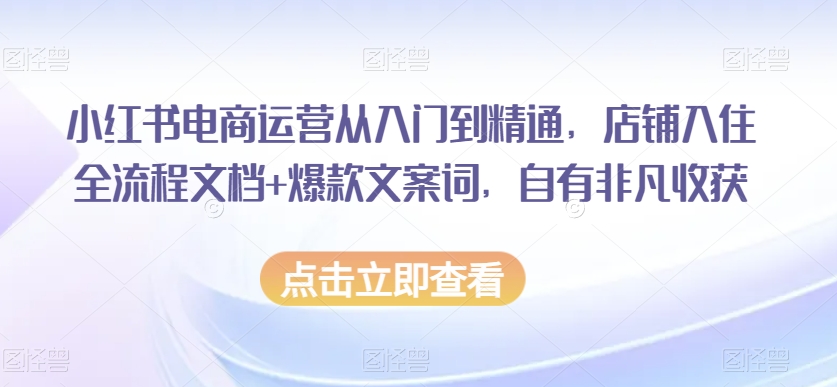 9598-20231223-小红书电商运营从入门到精通，店铺入住全流程文档+爆款文案词，自有非凡收获【冒泡网赚www.mamp.fun】