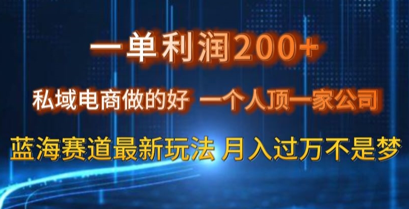 9687-20231228-一单利润200私域电商做的好，一个人顶一家公司蓝海赛道最新玩法【揭秘】