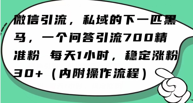 9706-20231230-怎么搞精准创业粉？微信新赛道，每天一小时，利用Ai一个问答日引100精准粉