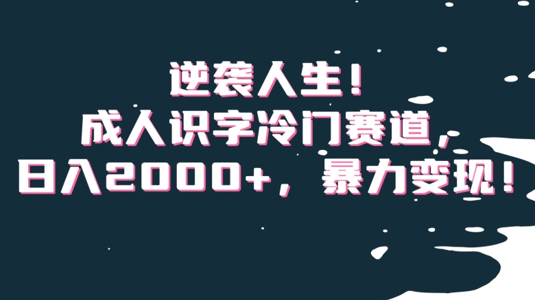 013-20240102-逆袭人生！成人识字冷门赛道，日入2000+，暴力变现！【揭秘】