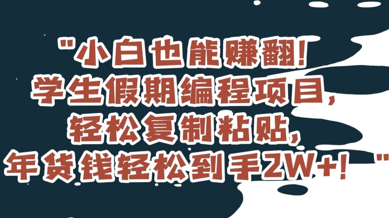 014-20240102-小白也能赚翻！学生假期编程项目，轻松复制粘贴，年货钱轻松到手2W+⭐小白也能赚翻！学生假期编程项目，轻松复制粘贴，年货钱轻松到手2W+【揭秘】