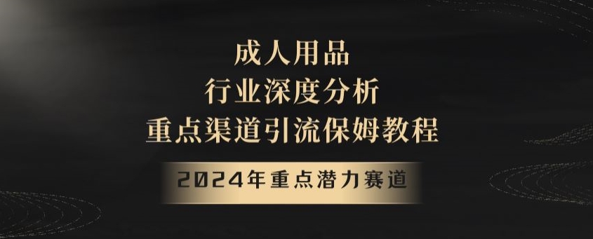 099-20240107-2024年重点潜力赛道，成人用品行业深度分析，重点渠道引流保姆教程【揭秘】