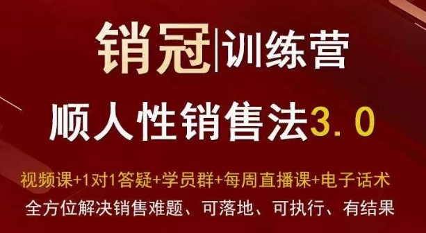 132-20240109-爆款！销冠训练营3.0之顺人性销售法，全方位解决销售难题、可落地、可执行、有结果