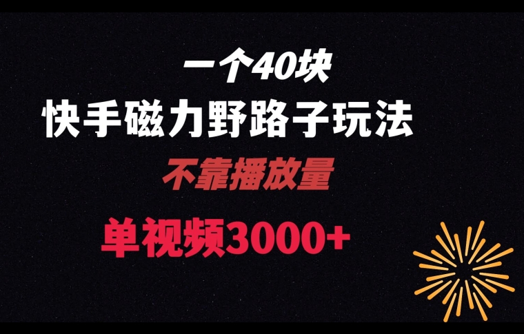 166-20240110-一个40块，快手联合美团磁力新玩法，无视机制野路子玩法，单视频收益4位数【揭秘】