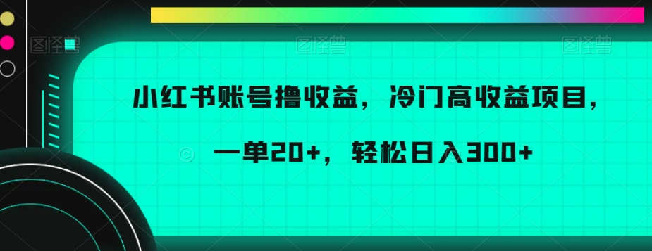 194-20240112-小红书账号撸收益，冷门高收益项目，一单20+，轻松日入300+【揭秘】