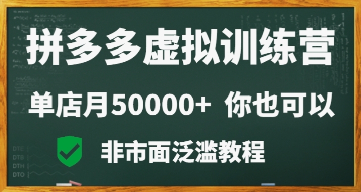 209-20240113-拼多多虚拟电商训练营月入30000+你也行，暴利稳定长久，副业首选