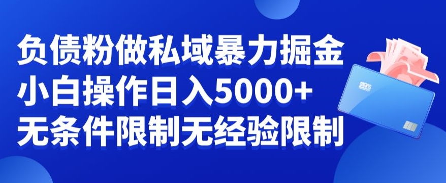 269-20240117-负债粉私域暴力掘金，小白操作入5000，无经验限制，无条件限制【揭秘】