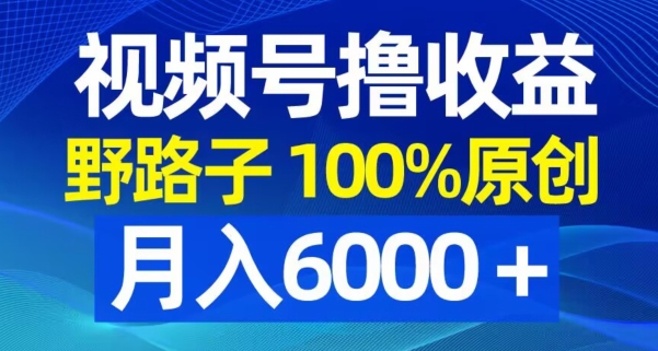 283-20240118-视频号野路子撸收益，100%原创，条条爆款，月入6000＋【揭秘】