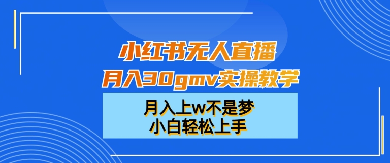 289-20240118-小红书无人直播月入30gmv实操教学，月入上w不是梦，小白轻松上手【揭秘】