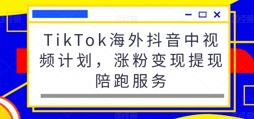 376-20240124-TikTok海外抖音中视频计划，涨粉变现提现陪跑服务