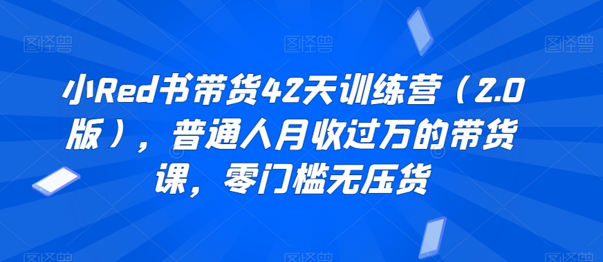 393-20240125-小Red书带货42天训练营（2.0版），普通人月收过万的带货课，零门槛无压货