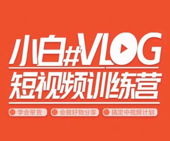 450-20240129-小呆说视--小白VLOG短视频训练营，学会带货、好物、直播、中视频[