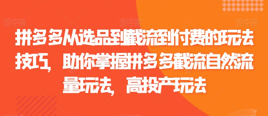 464-20240130-拼多多从选品到截流到付费的玩法技巧，助你掌握拼多多截流自然流量玩法，高投产玩法