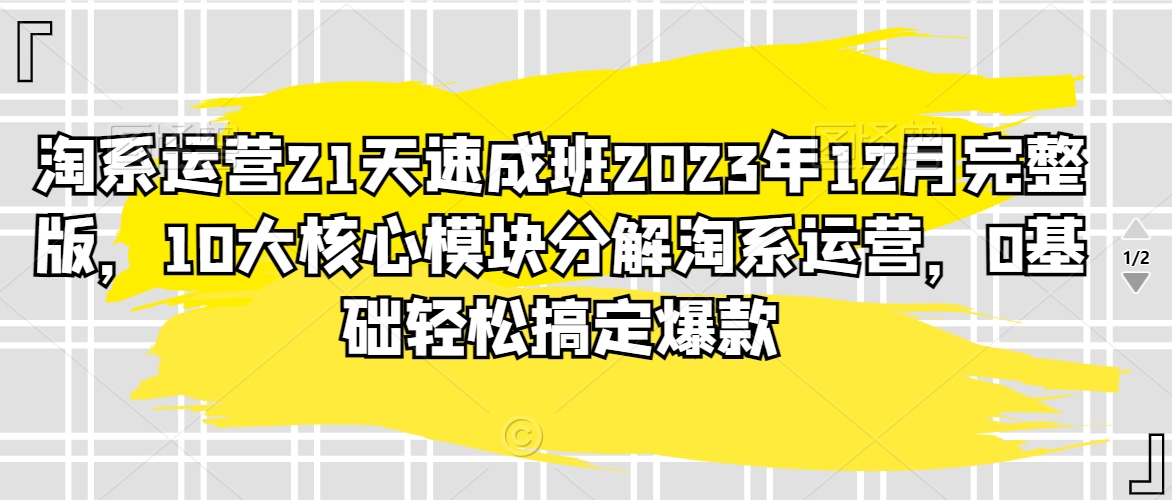 081-20240206-淘系运营21天速成班2023年12月完整版，10大核心模块分解淘系运营，0基础轻松搞定爆款