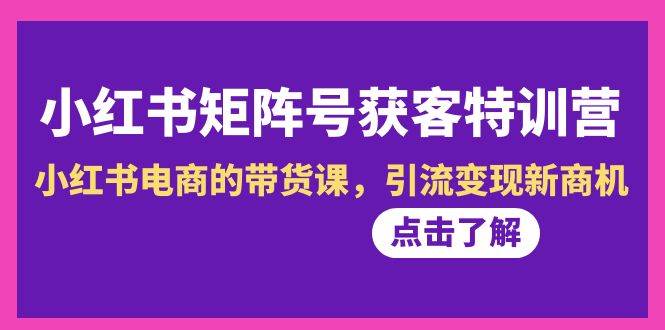 （8909期）第10期小红书矩阵号获客训练营⭐小红书-矩阵号获客特训营-第10期，小红书电商的带货课，引流变现新商机