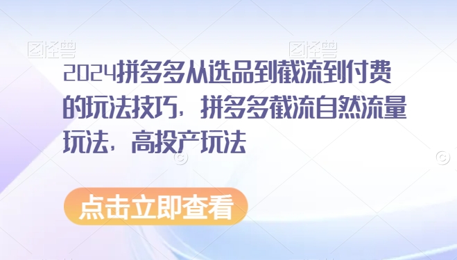 227-20240221-2024拼多多从选品到截流到付费的玩法技巧，拼多多截流自然流量玩法，高投产玩法