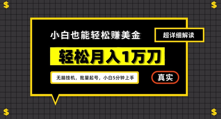 245-20240222-谷歌看广告撸美金2.0，无脑挂机，多号操作，月入1万刀【揭秘】