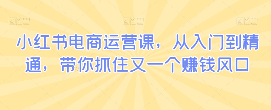 263-20240223-小红书电商运营课，从入门到精通，带你抓住又一个赚钱风口