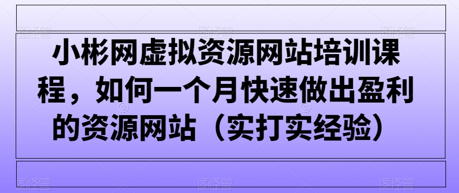 293-20240224-小彬网虚拟资源网站培训课程，如何一个月快速做出盈利的资源网站（实打实经验）