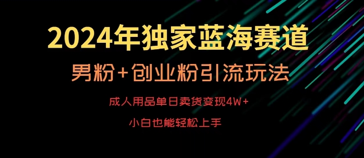 317-20240226-2024年独家蓝海赛道，成人用品单日卖货变现4W+，男粉+创业粉引流玩法，不愁搞不到流量【揭秘】