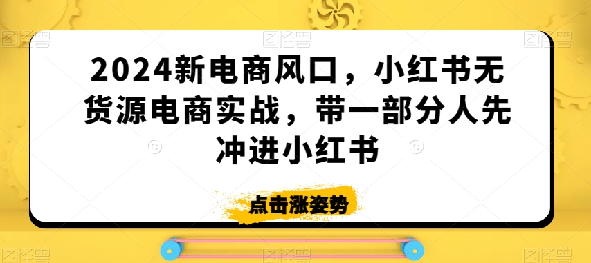 004-20240301-2024新电商风口，小红书无货源电商实战，带一部分人先冲进小红书