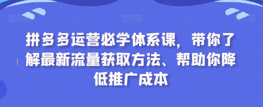 020-20240302-拼多多运营必学体系课，带你了解最新流量获取方法、帮助你降低推广成本