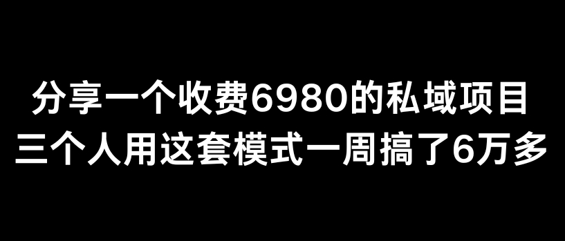 034-20240302-分享一个外面卖6980的私域项目三个人用这套模式一周搞了6万多【揭秘】