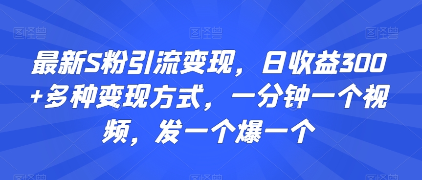 018-20240301-最新S粉引流变现，日收益300+多种变现方式，一分钟一个视频，发一个爆一个【揭秘】