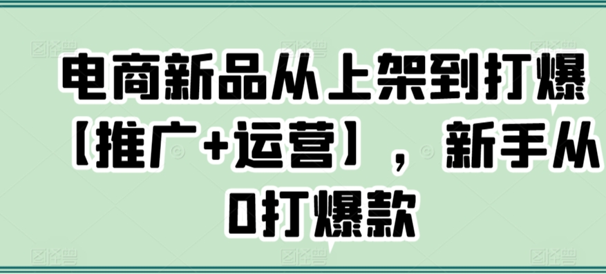 095-20240307-电商新品从上架到打爆【推广+运营】，新手从0打爆款