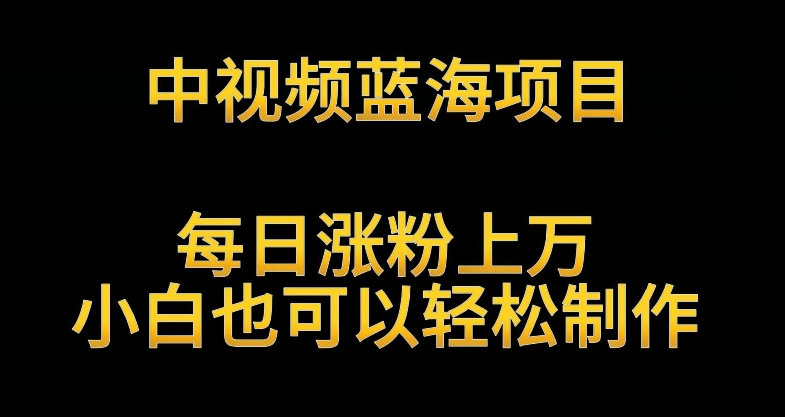 136-20240310-中视频蓝海项目，解读英雄人物生平，每日涨粉上万，小白也可以轻松制作，月入过万不是梦【揭秘】