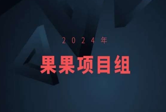 166-20240312-2024年果果项目组项目合集-果果最新项目