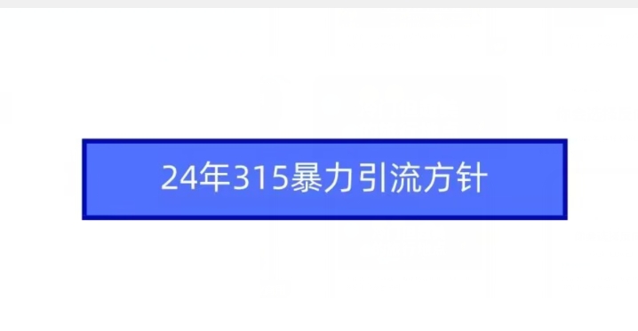 178-20240312-24年315暴力引流方针