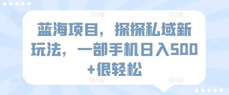 285-20240319-蓝海项目，探探私域新玩法，一部手机日入500+很轻松【揭秘】