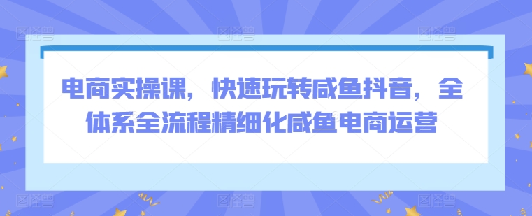 308-20240321-电商实操课，快速玩转咸鱼抖音，全体系全流程精细化咸鱼电商运营