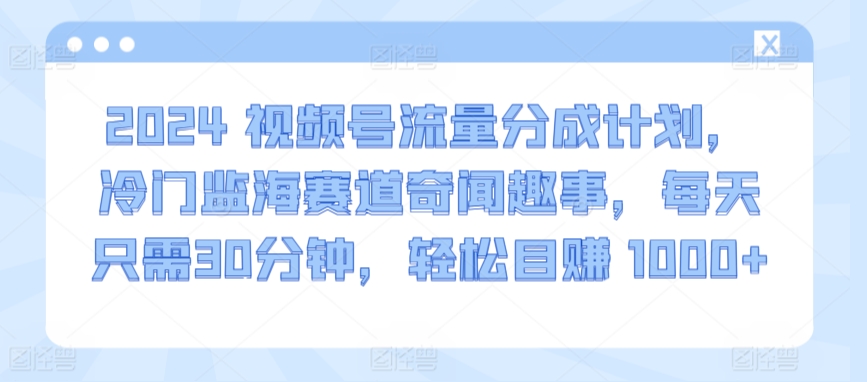 309-20240321-2024视频号流量分成计划，冷门监海赛道奇闻趣事，每天只需30分钟，轻松目赚 1000+【揭秘】