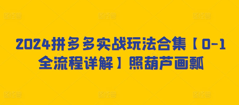 316-20240322-2024拼多多实战玩法合集【0-1全流程详解】照葫芦画瓢