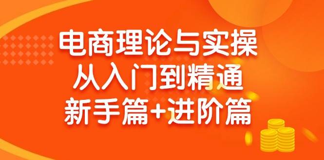 （9576期）电商理论与实操从入门到精通 新手篇+进阶篇⭐电商理论与实操从入门到精通 新手篇 进阶篇