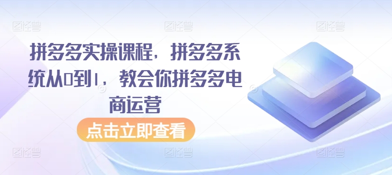 363-20240325-拼多多实操课程，拼多多系统从0到1，教会你拼多多电商运营